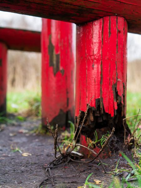 Cost of Rotten Column Replacement in Garner